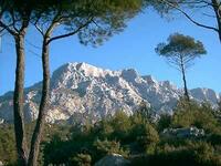 Sainte Victoire Sainte Victoire