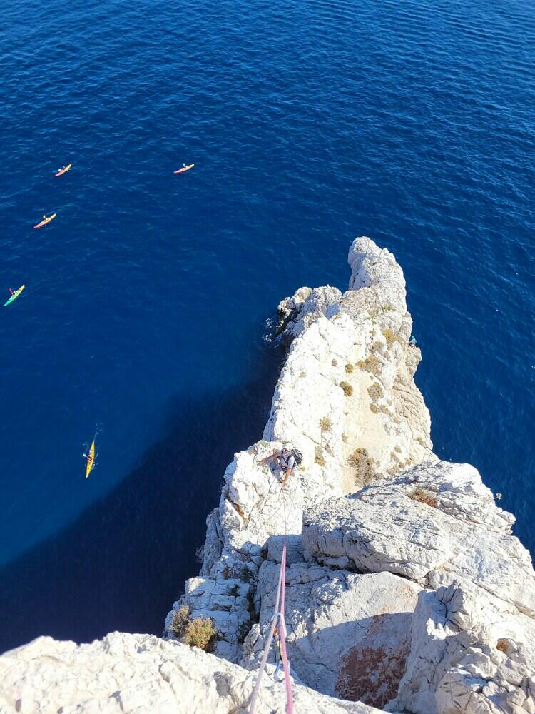 arête de l'extrême bec arête de l'extrême bec